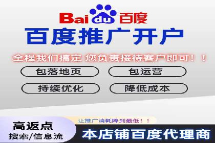 大型企业SEM外包实战案例